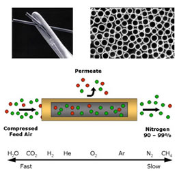 Membrane Nitrogen.